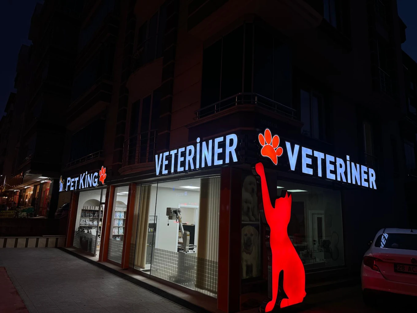 Modern veteriner kliniği